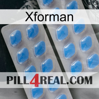 Xforman 23